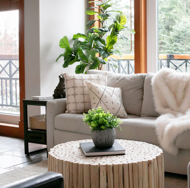 Lifestyle Staging: How Stylists Design Homes Buyers Can See Themselves Living In
